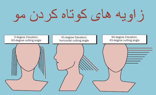 زاویه در کوتاهی مو (مقاله رایگان)