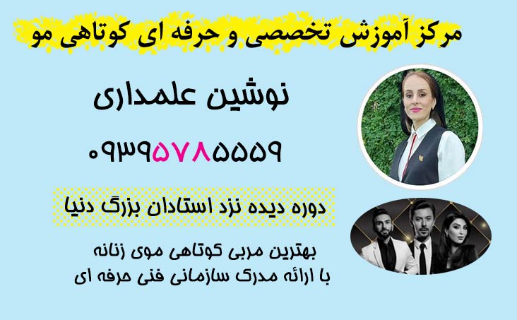 دوره آموزش کوتاهی مو زنانه